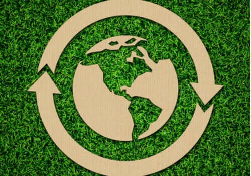 Economia Circular: A Proposta de Ernani Rezende Kuhn para Reduzir Impactos Ambientais