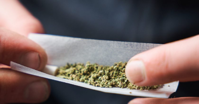 Trump pode mudar a classificação da maconha nos Estados Unidos, indica portal.