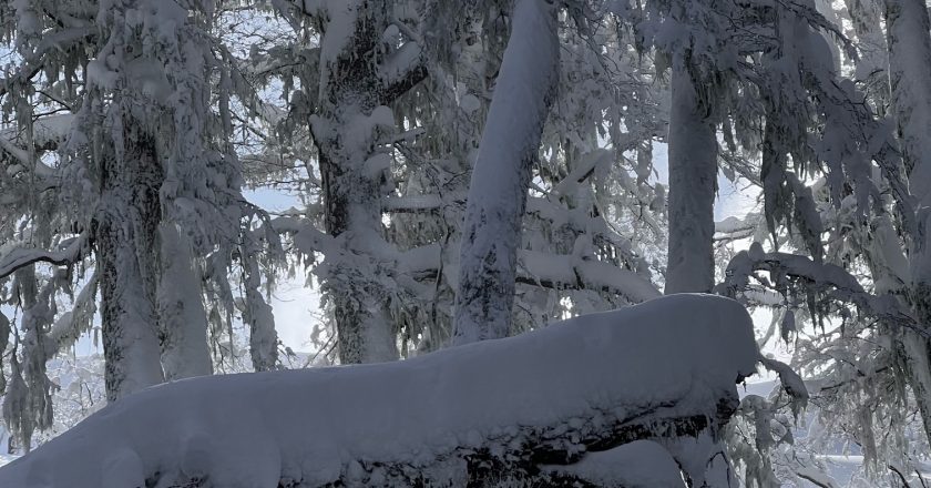 São Paulo lidera envio de turistas brasileiros para Bariloche