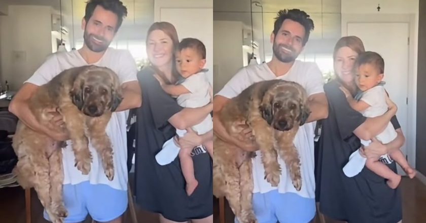 Dani Calabresa comemora o primeiro aniversário do filho Bernardo com muita alegria