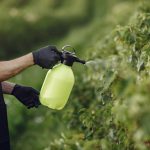 Cauê Lopes Martins explica como a escolha correta de fertilizantes influencia a produtividade das lavouras