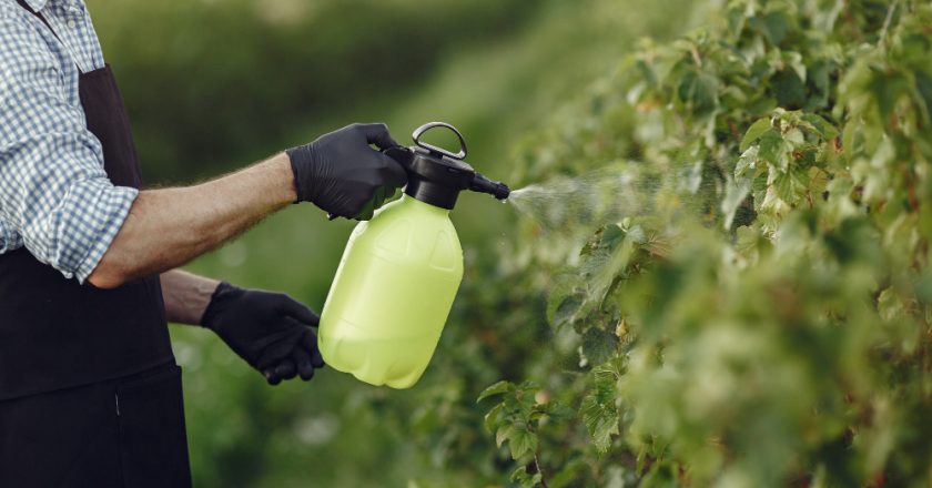 Cauê Lopes Martins explica como a escolha correta de fertilizantes influencia a produtividade das lavouras