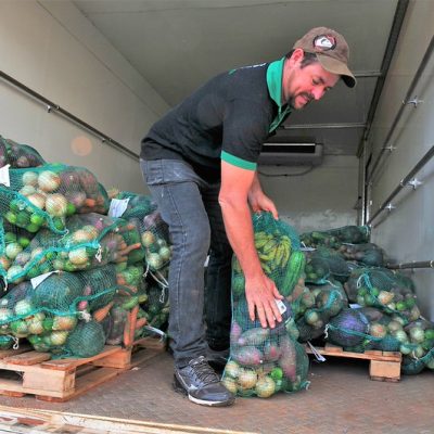 Beneficiários do Prato Cheio no DF podem acessar a Cesta Verde; entenda o processo de entrega