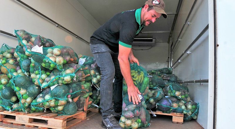 Beneficiários do Prato Cheio no DF podem acessar a Cesta Verde; entenda o processo de entrega