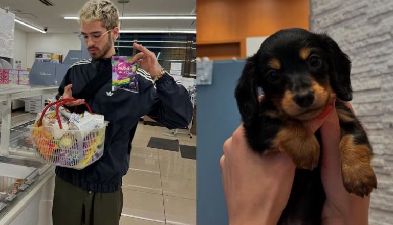 João Guilherme adota cachorrinha e a batiza de Maria Joana: “Nova companheira”
