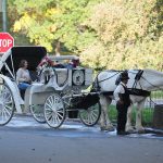 Nova York se prepara para extinguir o uso de carruagens de cavalo após século e meio de tradição