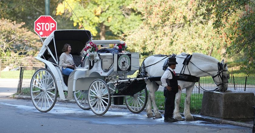 Nova York se prepara para extinguir o uso de carruagens de cavalo após século e meio de tradição