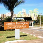 Zoológico de Brasília pausa atividades neste domingo (4/10); confira a data da reabertura