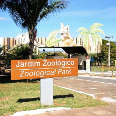 Zoológico de Brasília pausa atividades neste domingo (4/10); confira a data da reabertura