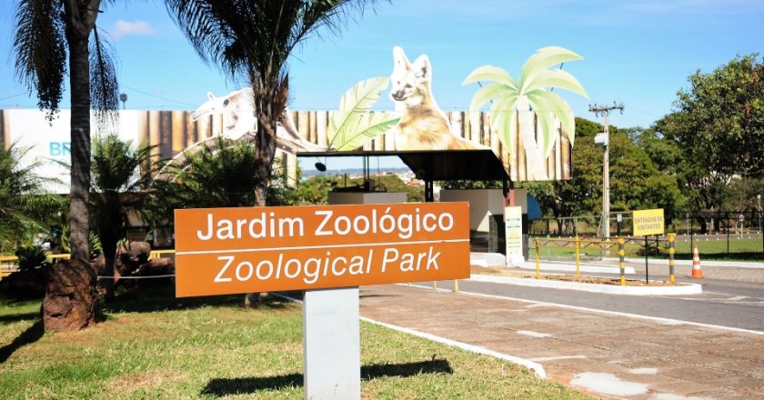 Zoológico de Brasília pausa atividades neste domingo (4/10); confira a data da reabertura